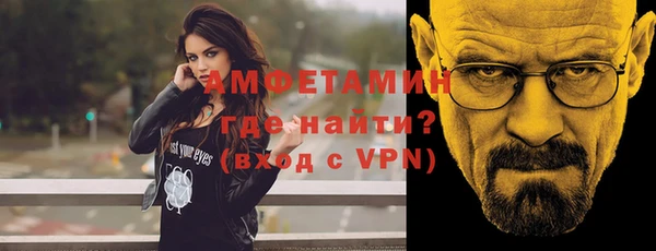 индика Новозыбков