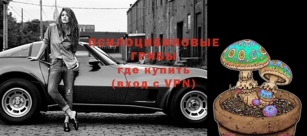 индика Новозыбков